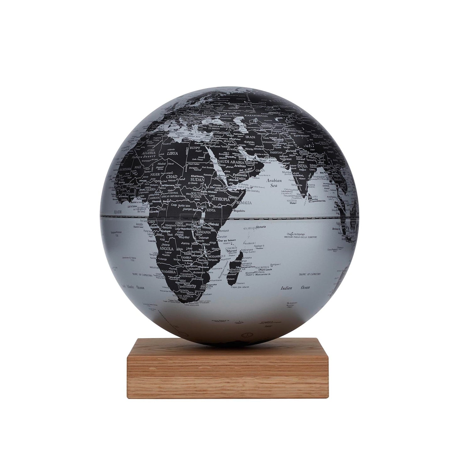 Platon Oak Matt Silver Magnetic Globe